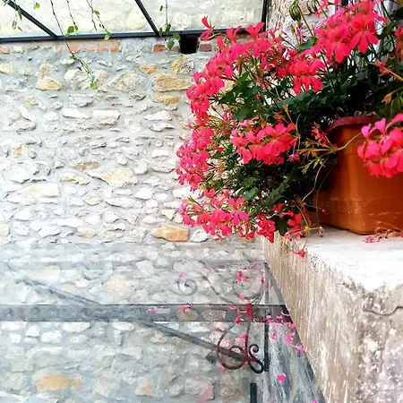 Trebicka Hotel Korce