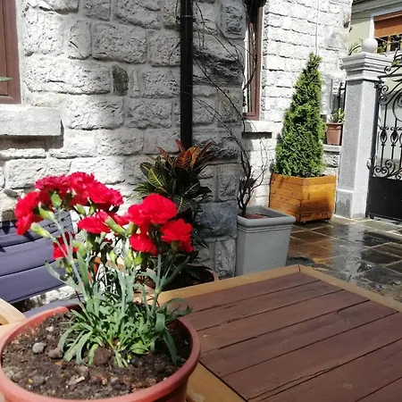 Hotel Trebicka 3*